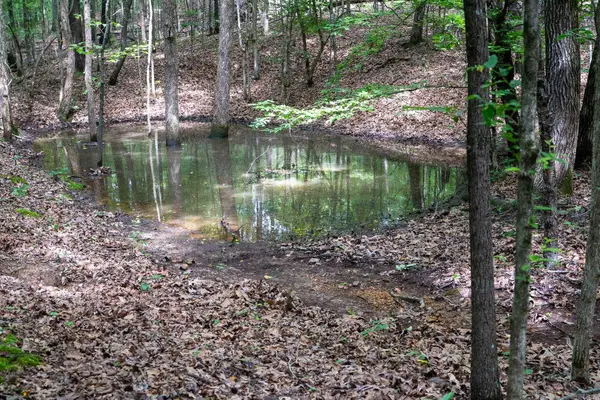 000 Bay Lane, Harrisburg, AR 72432
