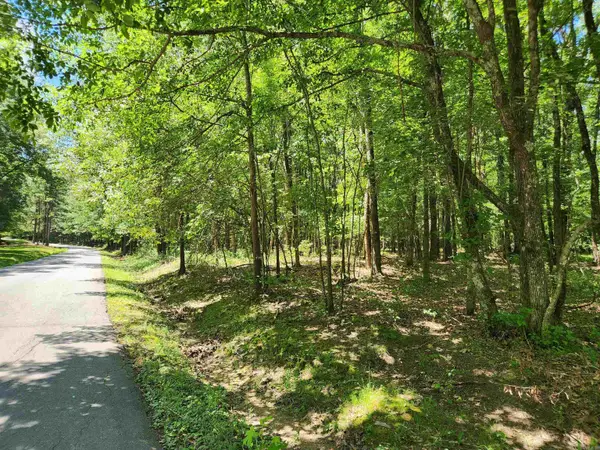 000 Roosevelt Drive, Star City, AR 71667