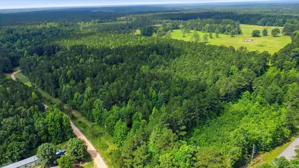 14.13 Acres Grant 18, Grapevine, AR 72057