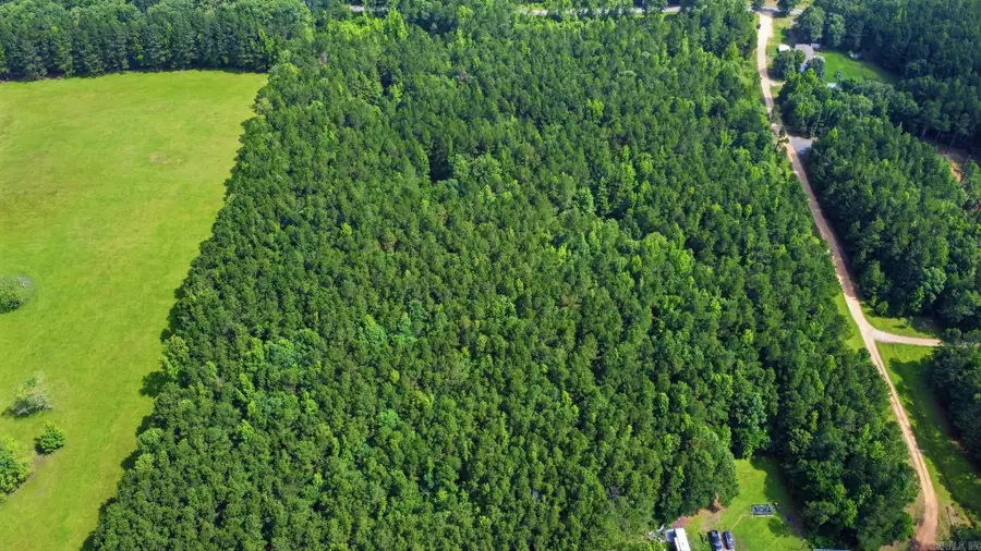 14.13 Acres Grant 18, Grapevine, AR 72057 - #2