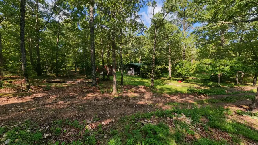 5344 Private Road 5212, Willow Springs, MO 65793 - #3