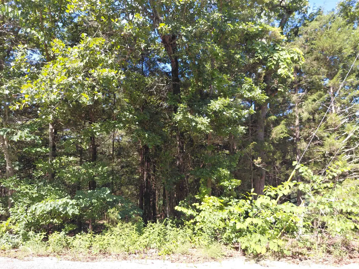 San Ildelfonso Circle, Cherokee Village, AR 72529 - #1