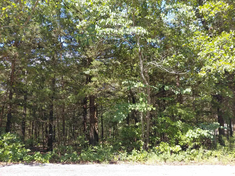 San Ildelfonso Circle, Cherokee Village, AR 72529 - #2