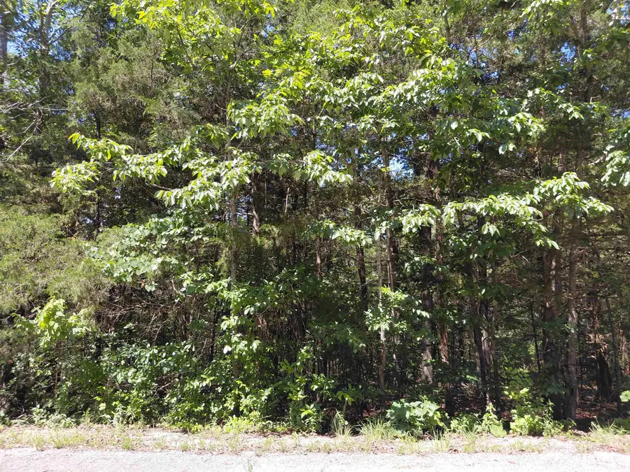 San Ildelfonso Circle, Cherokee Village, AR 72529 - #3