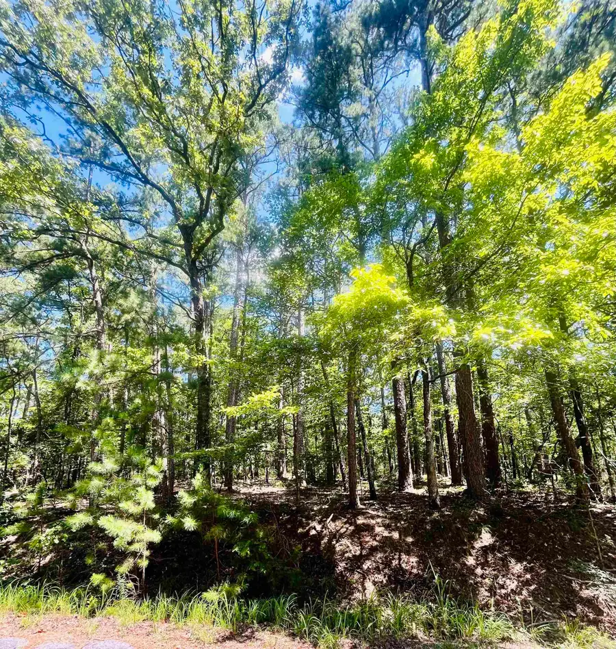 16 Pamplona Lane, Hot Springs Village, AR 71909 - #2