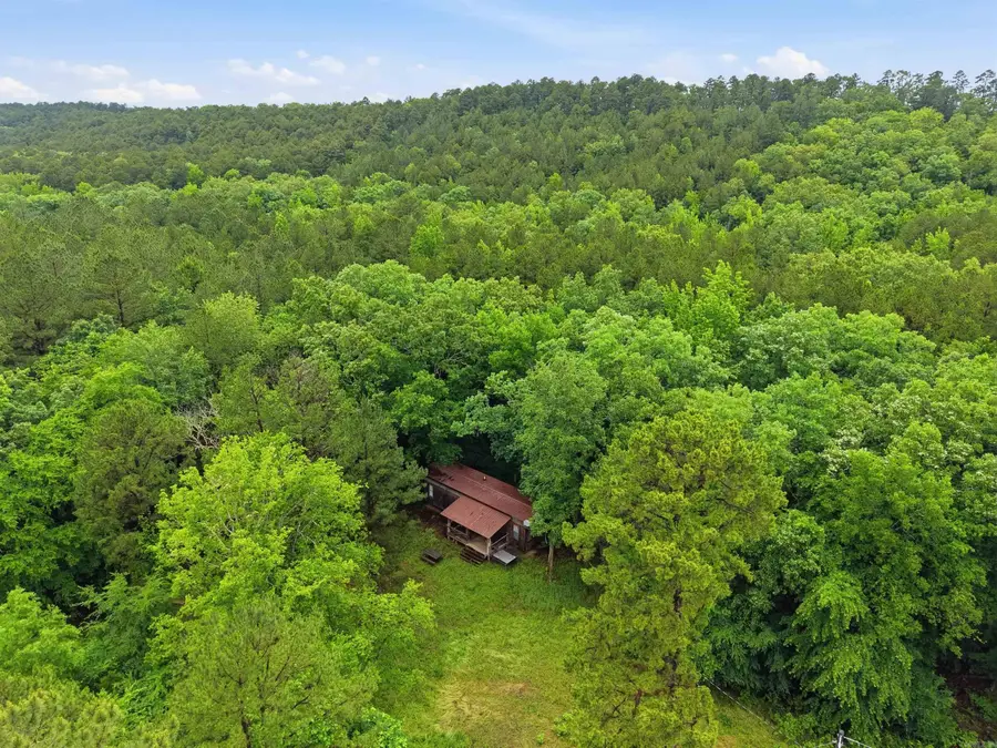 377 Brush Creek Road, Plainview, AR 72857 - #2
