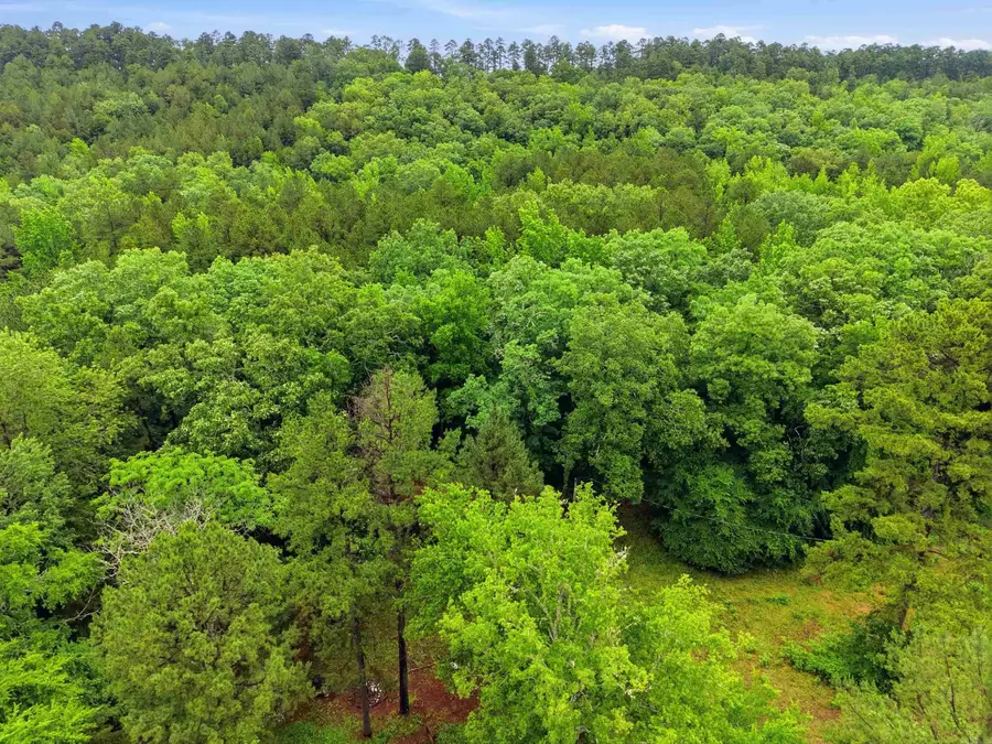 377 Brush Creek Road, Plainview, AR 72857 - #3