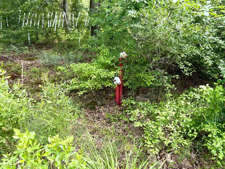 Address Withheld By Seller, Beebe, AR 72012 - #2
