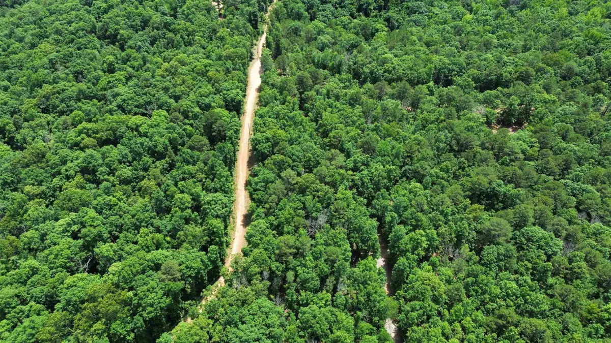 10 Lute Mountain Road, Union, AR 72513 - #1