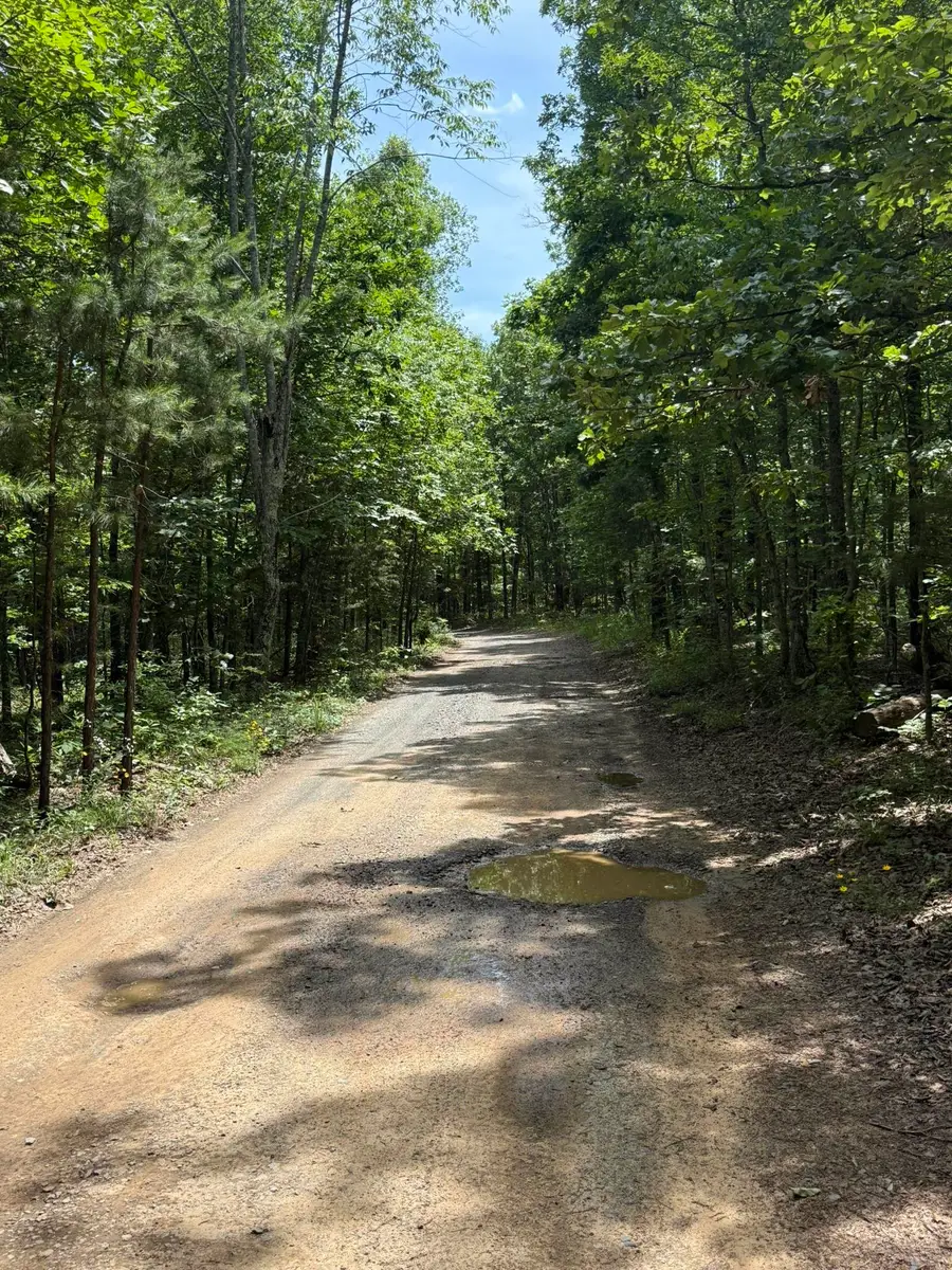 10 Lute Mountain Road, Union, AR 72513 - #3