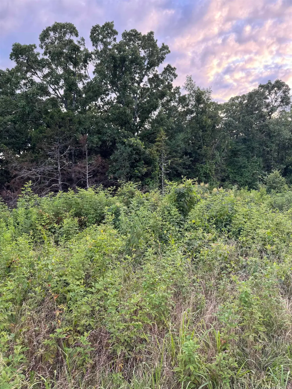 000 Ballard Road, Vilonia, AR 72173 - #1