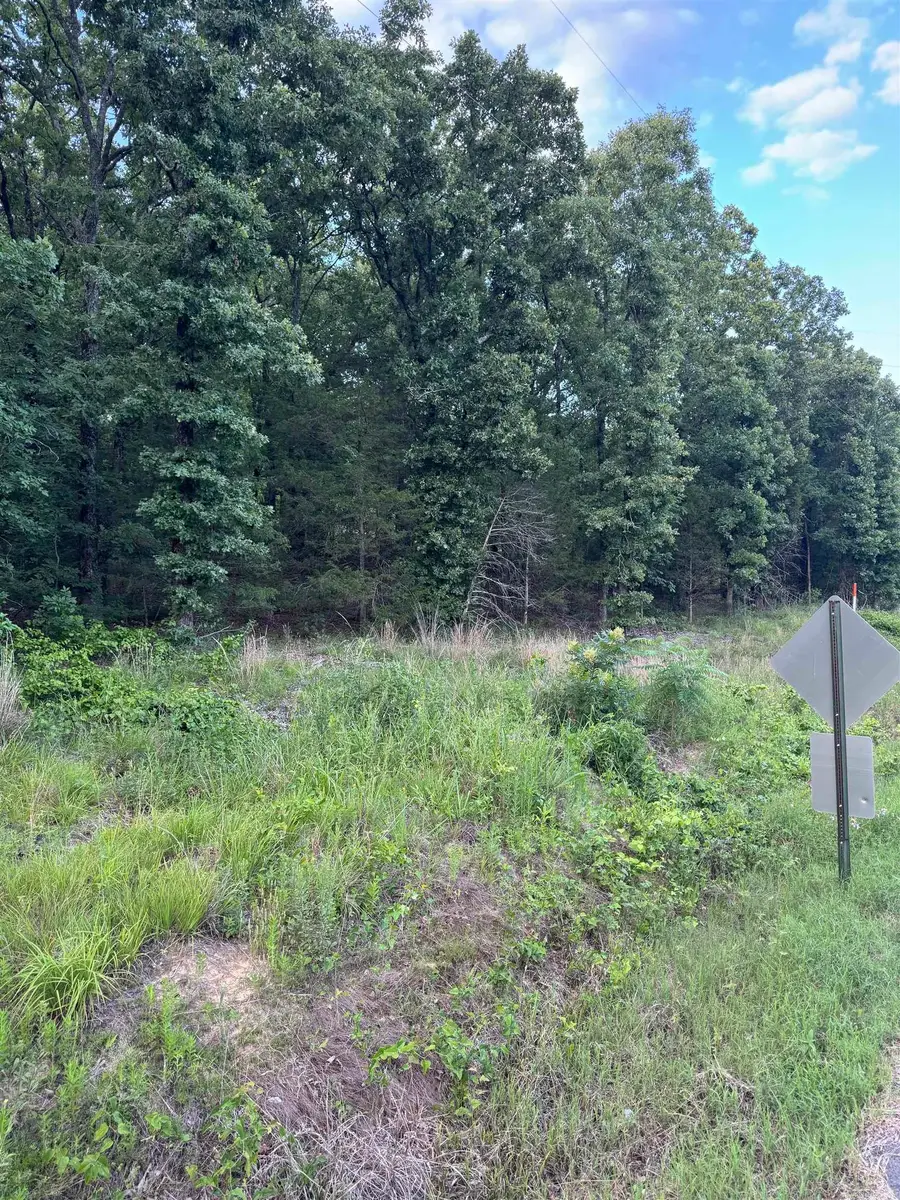 000 Ballard Road, Vilonia, AR 72173 - #3