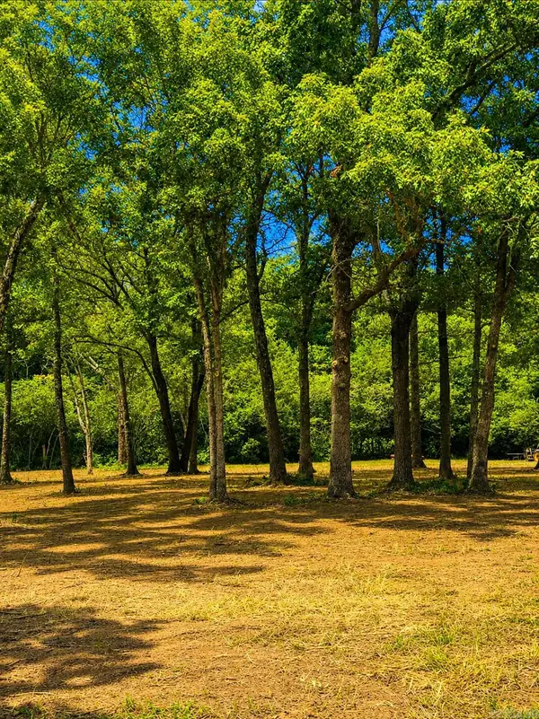 00 Cemetery Road, Clinton, AR 72031