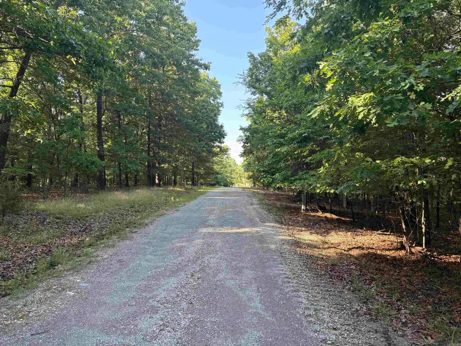 563-00109-000 Sunrise Ridge Drive, Yellville, AR 72687 - #2
