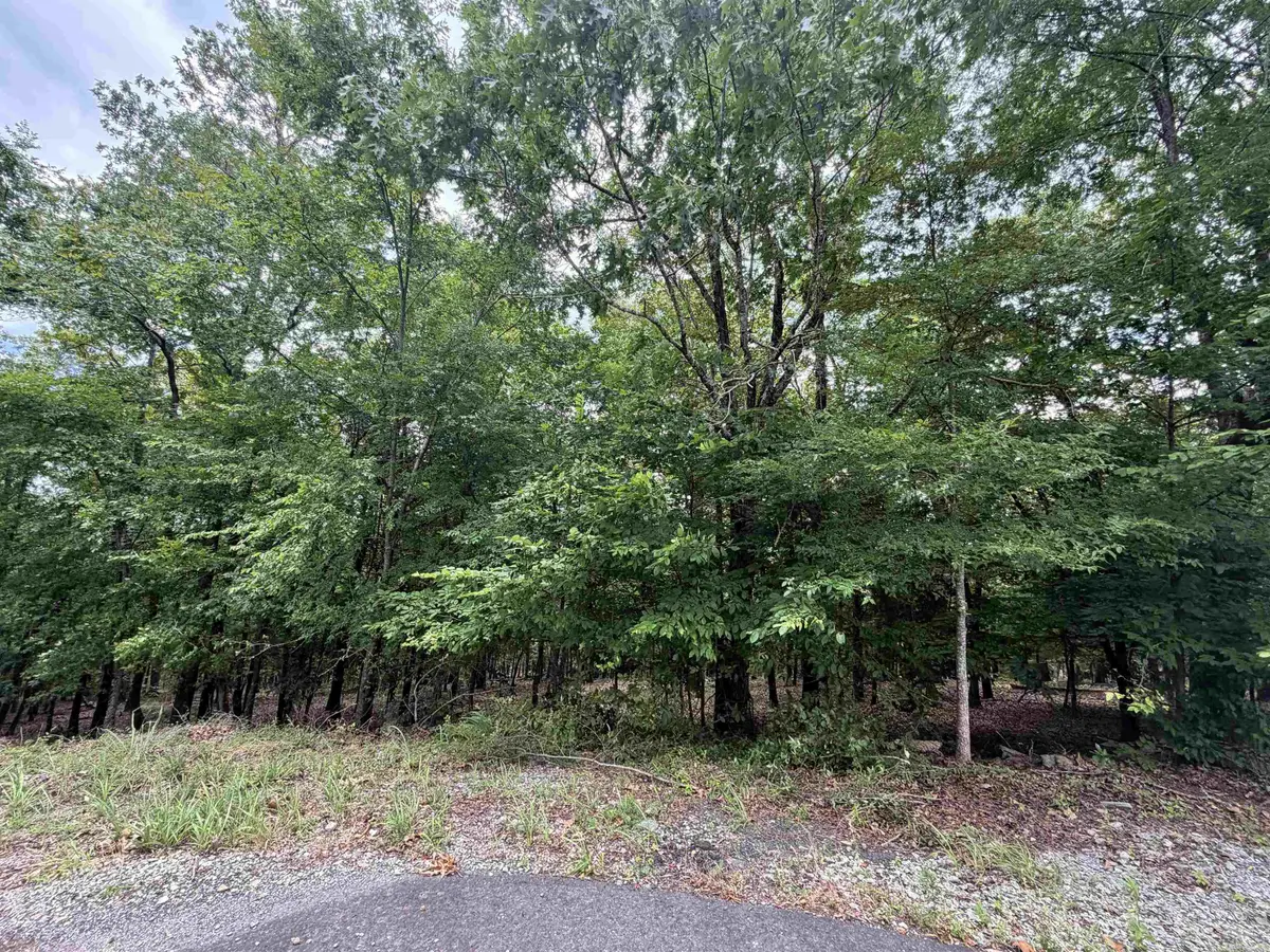 5 and 7 Binefar Trace, Hot Springs Village, AR 71909 - #1