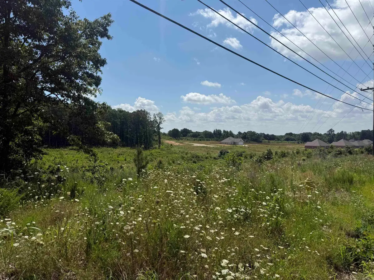 3.98 acres Mockingbird Lane, Paragould, AR 72450 - #1