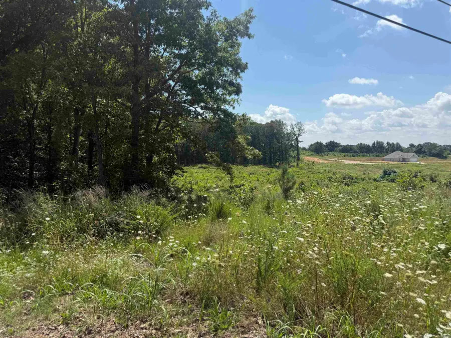 3.98 acres Mockingbird Lane, Paragould, AR 72450 - #3