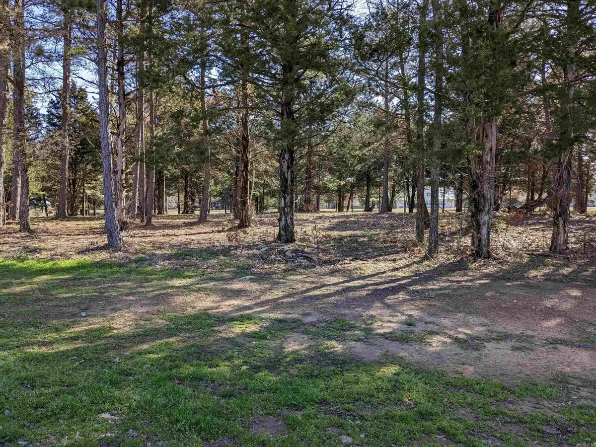 Lot 19 Brighton Pointe, Heber Springs, AR 72543 - #1