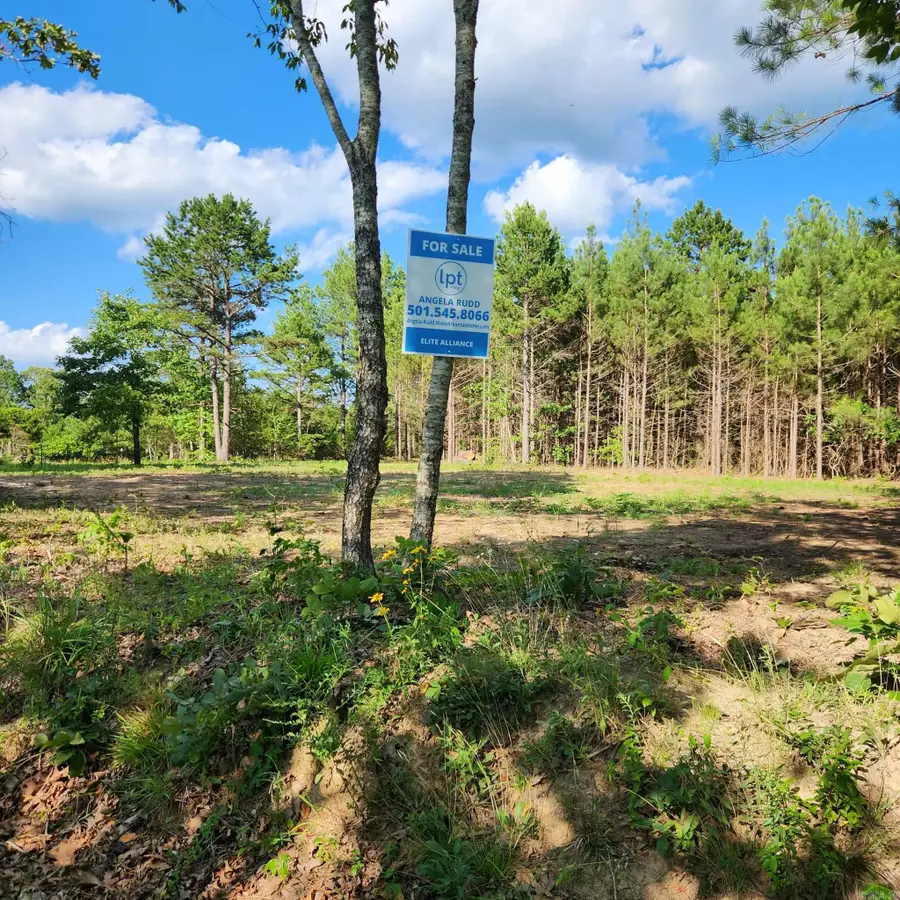 168 Harold Lane, Rose Bud, AR 72137 - #2