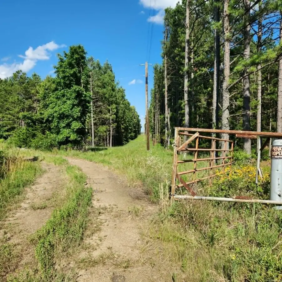 168 Harold Lane, Rose Bud, AR 72137 - #3