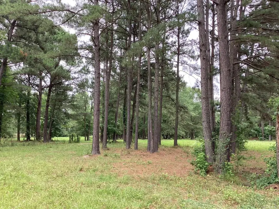 Hwy 24 E & Nevada 249 N, Prescott, AR 71857 - #2