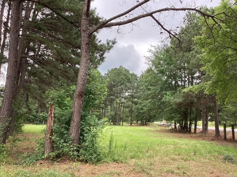 Hwy 24 E & Nevada 249 N, Prescott, AR 71857 - #3