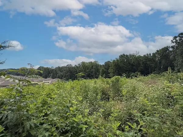 Lot 134 N Stagecoach Road, Ward, AR 72176