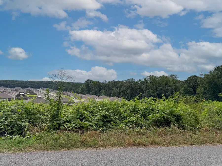 Lot 134 N Stagecoach Road, Ward, AR 72176 - #2