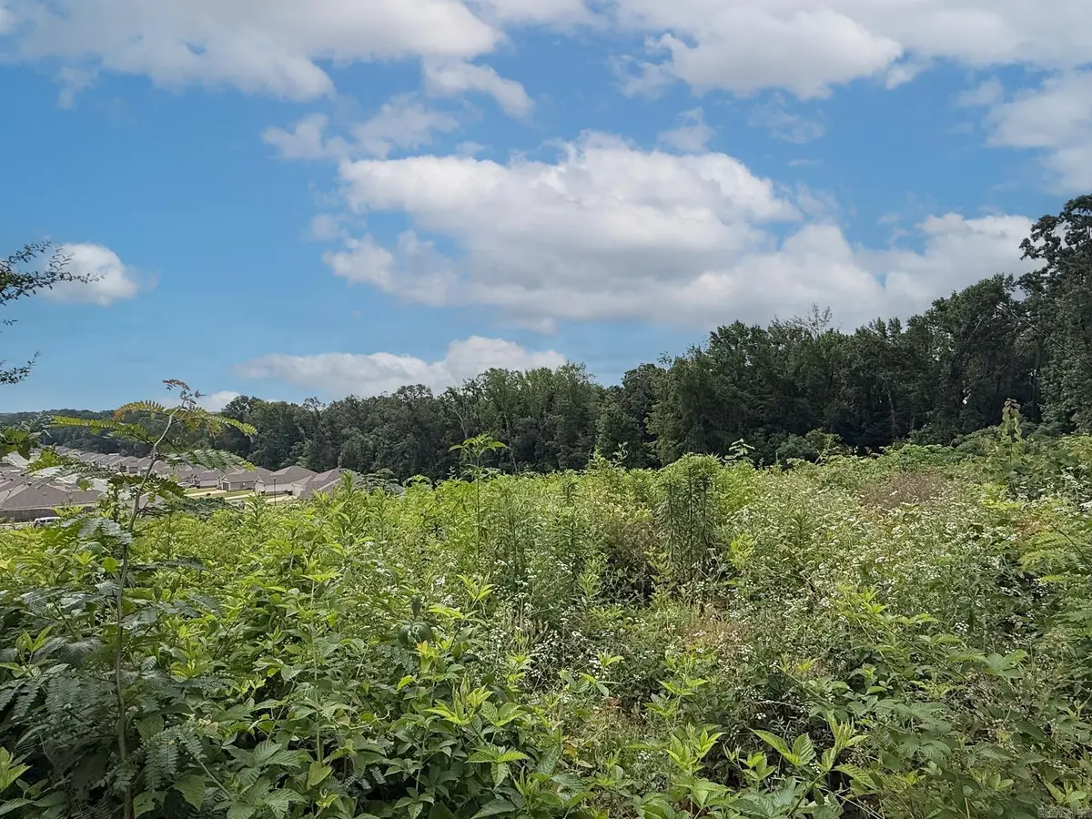 Lot 139 N Stagecoach Road, Ward, AR 72176 - #1