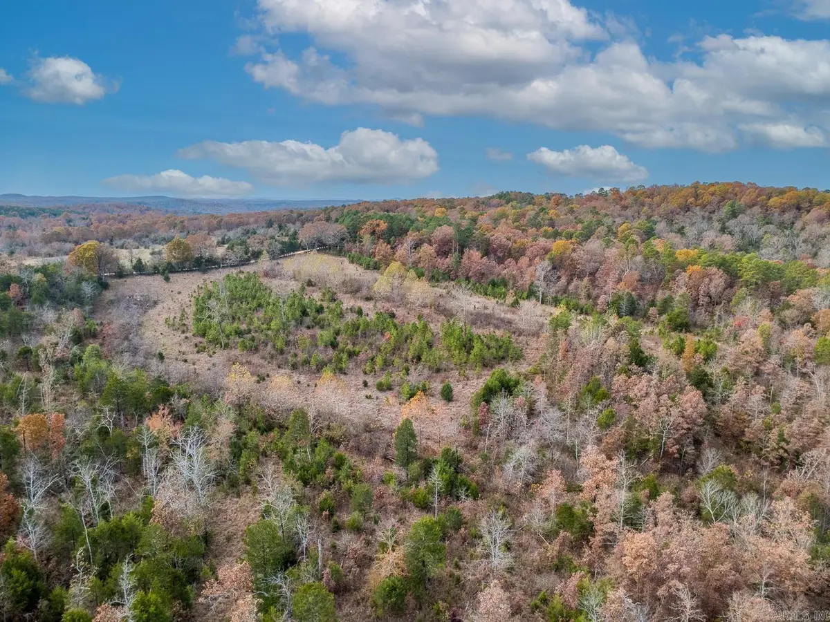000 Kerley Point Cove Road, Elizabeth, AR 72531 - #1