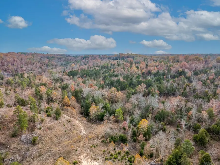 000 Kerley Point Cove Road, Elizabeth, AR 72531 - #2