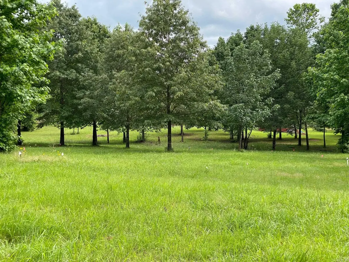 Ridge Cr, Quitman, AR 72131 - #1