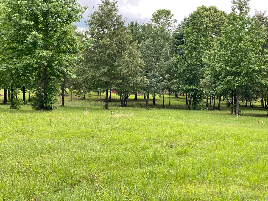 Ridge Cr, Quitman, AR 72131 - #2