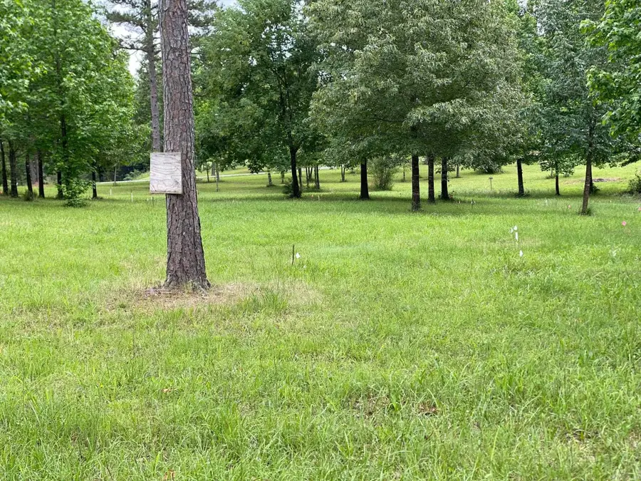 Ridge Cr, Quitman, AR 72131 - #3
