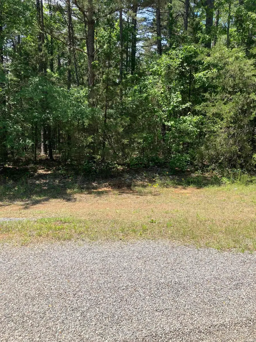 Lot172&173Bk173 Hurst Rd At Ashburn Rd, Fairfield Bay, AR 72088 - #2