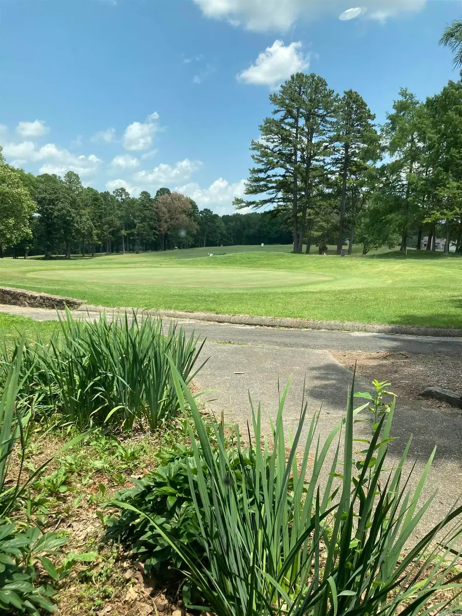 Lot172&173Bk173 Hurst Rd At Ashburn Rd, Fairfield Bay, AR 72088 - #3