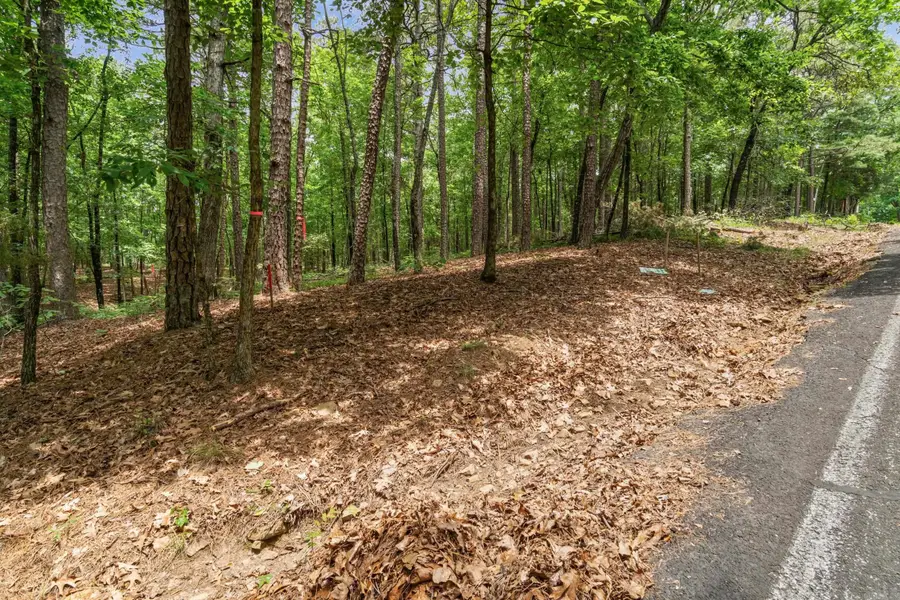 Lots 214/215 Sky King Road, Fairfield Bay, AR 72088 - #2