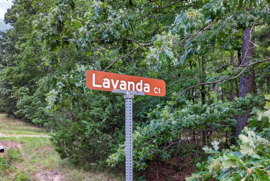 Address Withheld By Seller, Hot Springs Village, AR 71909 - #3