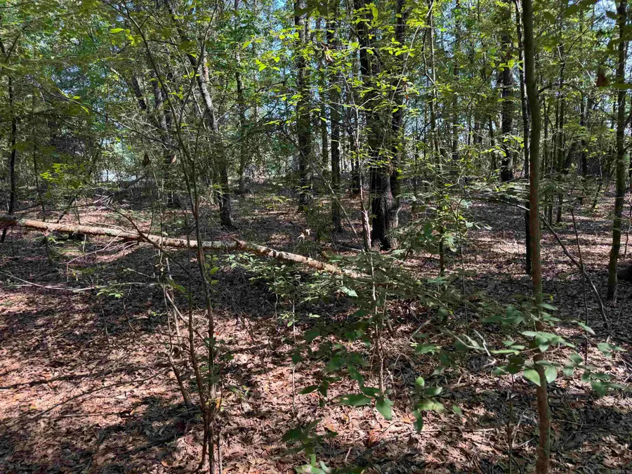 00 Calvary Circle, Lonoke, AR 72086 - #2