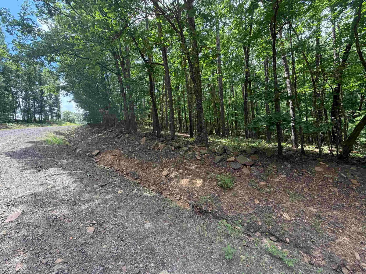 000 Greentree Road, Choctaw, AR 72032 - #1