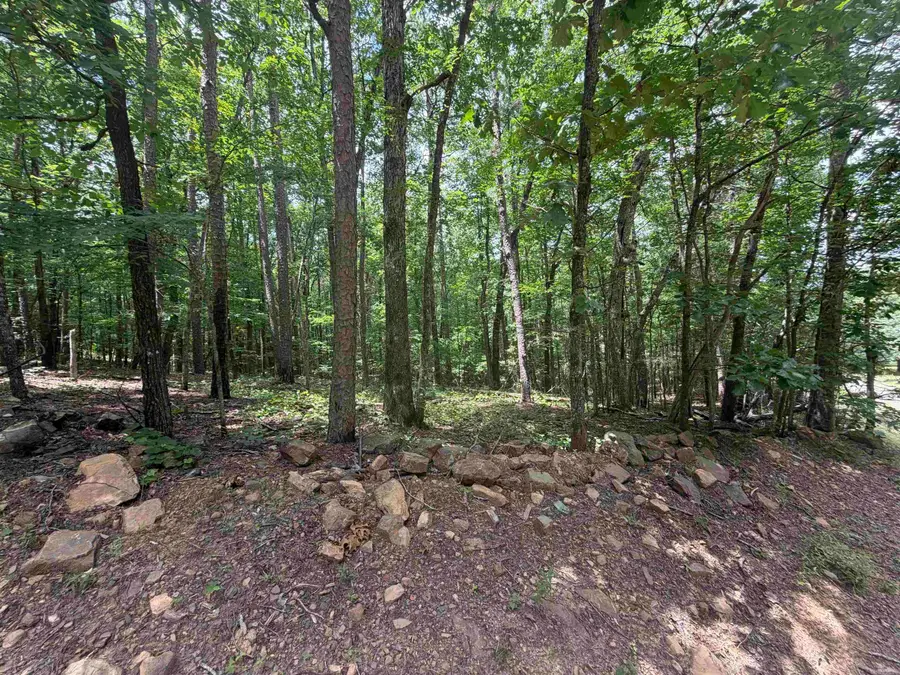 000 Greentree Road, Choctaw, AR 72032 - #3