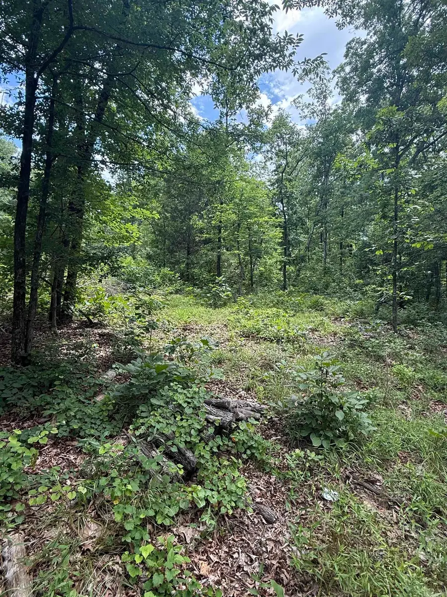4650 Edgemont Road, Quitman, AR 72131 - #3
