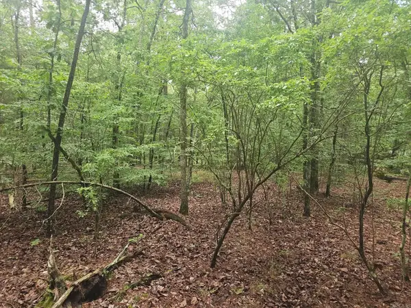 00 Glorieto Way, Hot Springs Village, AR 71909