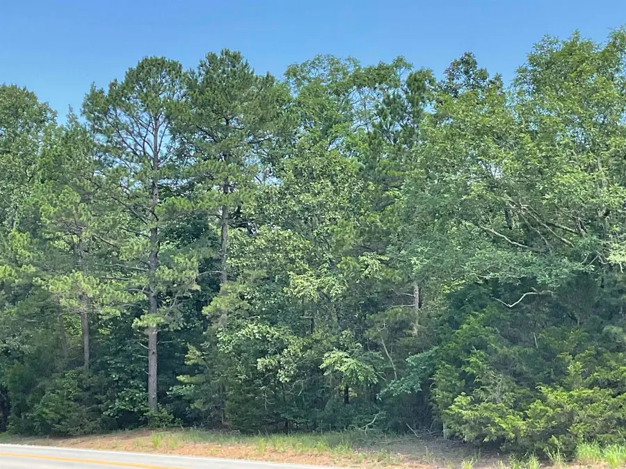 2519 Greers Ferry Rd, Greers Ferry, AR 72067 - #3