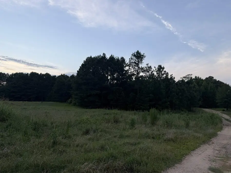 600 Block S Highway 35, Sheridan, AR 72150 - #2