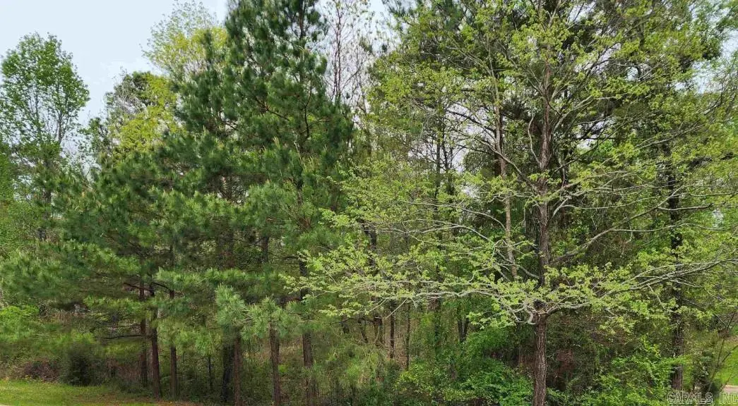 Lot 24 Evergreen St, El Dorado, AR 71730 - #1