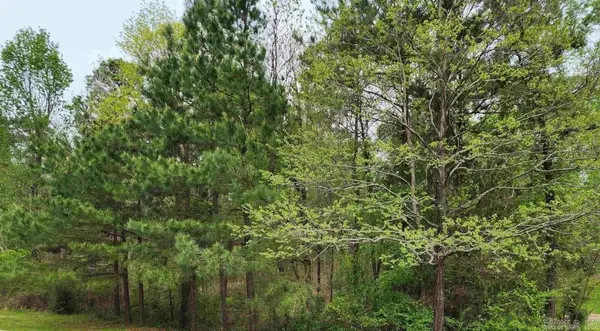 Lot 24 Evergreen St, El Dorado, AR 71730