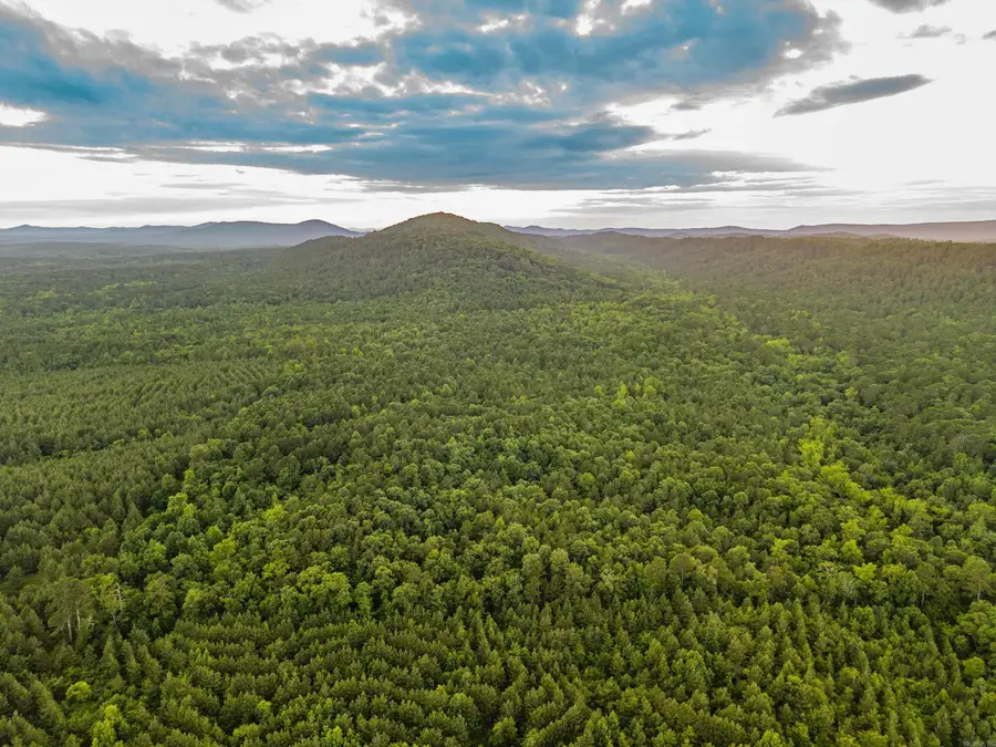 000 Kinsey Mountain Road, Bonnerdale, AR 71933 - #2