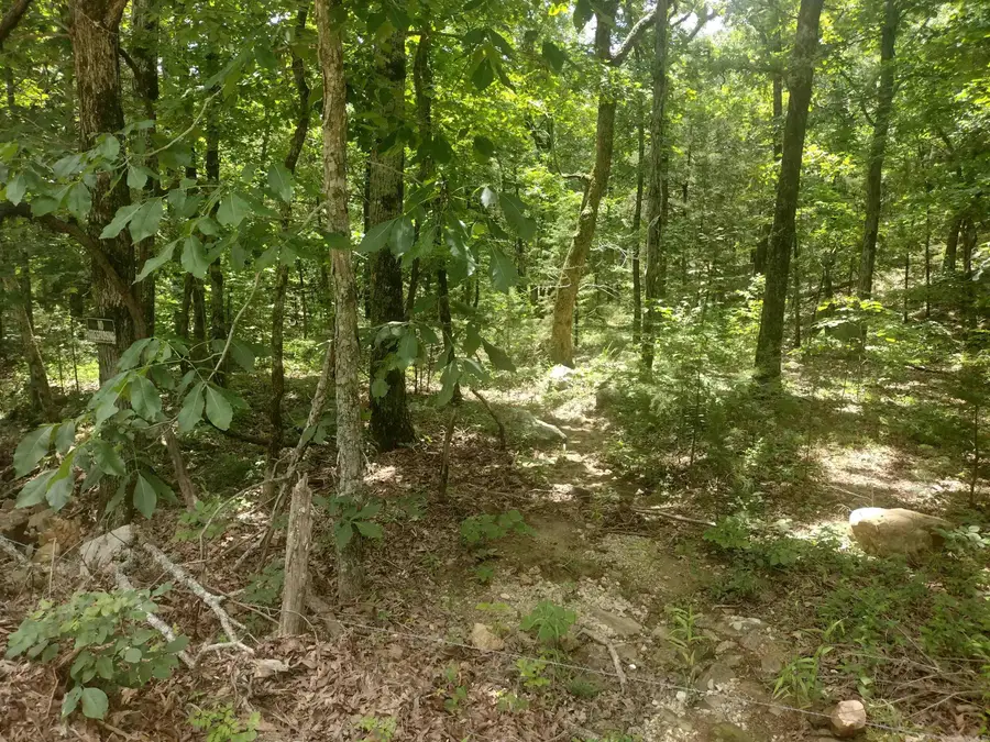 483 Mcintire Ln, Mountain View, AR 72560 - #2