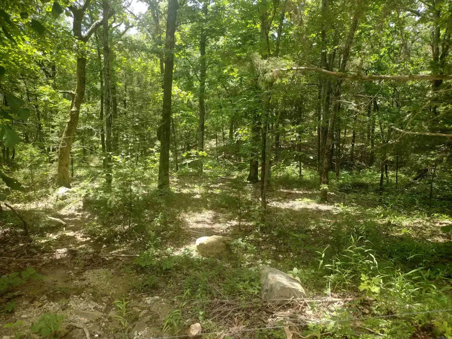 483 Mcintire Ln, Mountain View, AR 72560 - #3